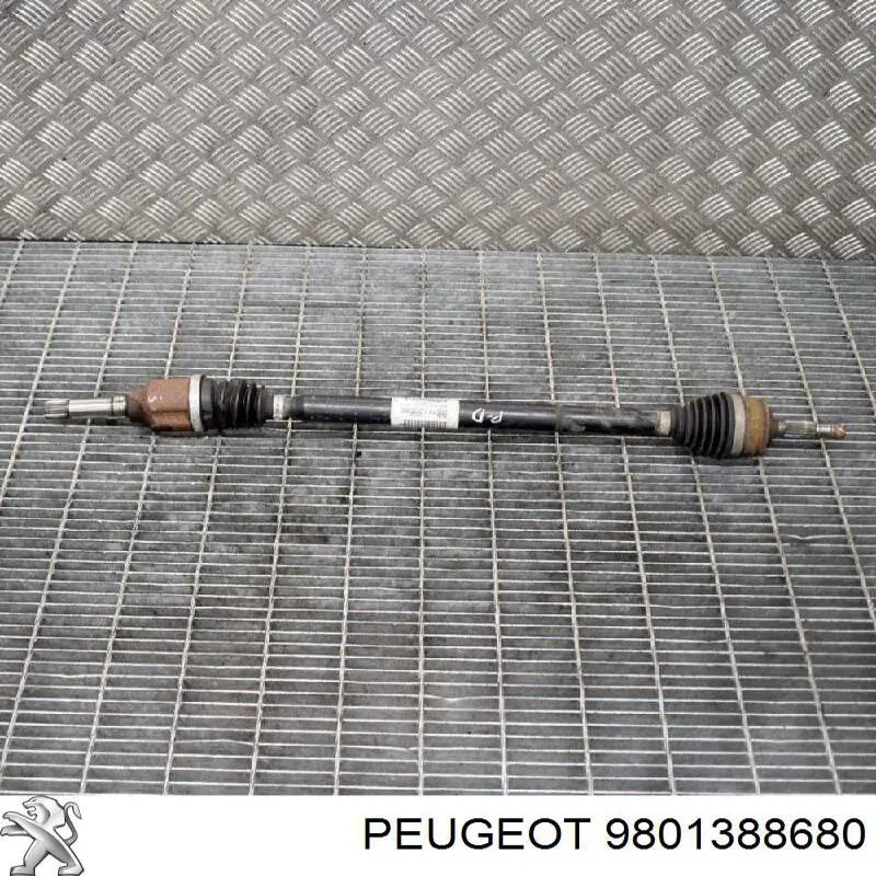 9801388680 Peugeot/Citroen Junta homocinética