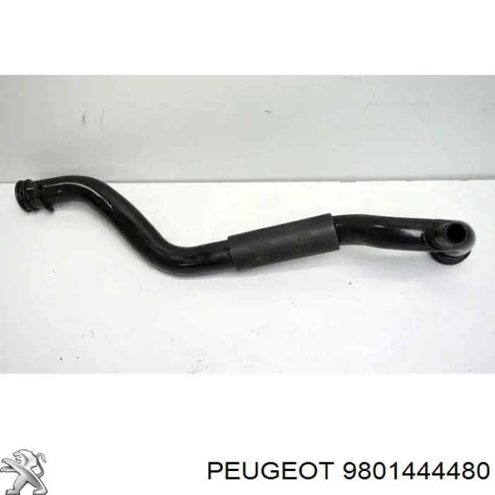 1680409480 Peugeot/Citroen Manguera de refrigeración