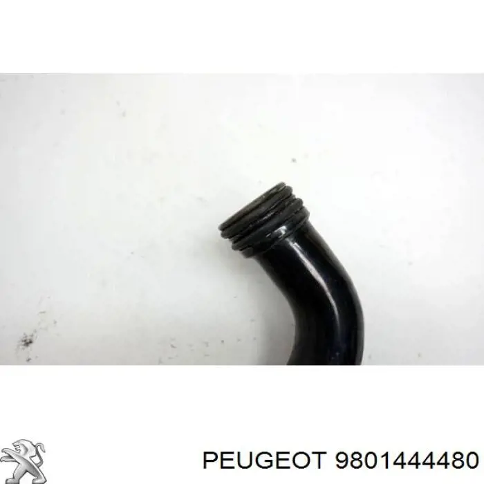 Manguito de líquido refrigerante Peugeot/Citroen 1680409480 precio, desde 31,14 EUR