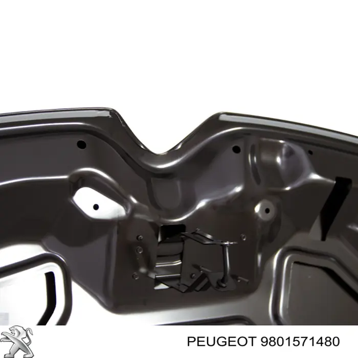 Capó 9801571480 Peugeot/Citroen