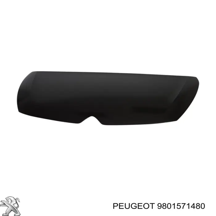 Comprar 9801571480 Peugeot/Citroen Capó