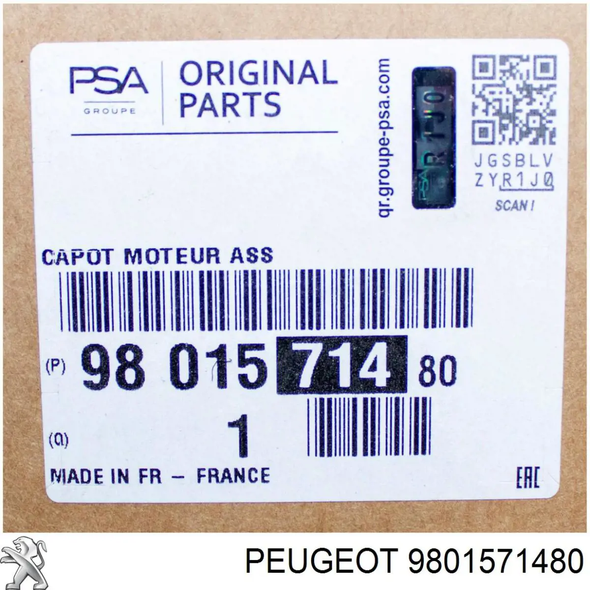 Capó 9801571480 Peugeot/Citroen