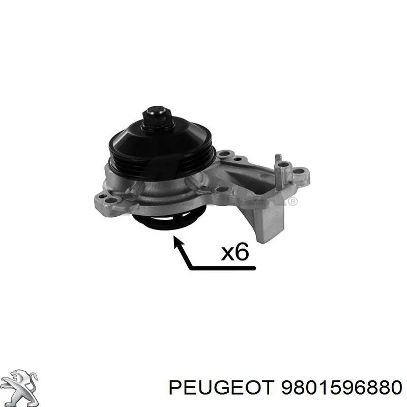 Junta de bomba de agua Peugeot/Citroen 9801596880 precio, desde 5,34 EUR