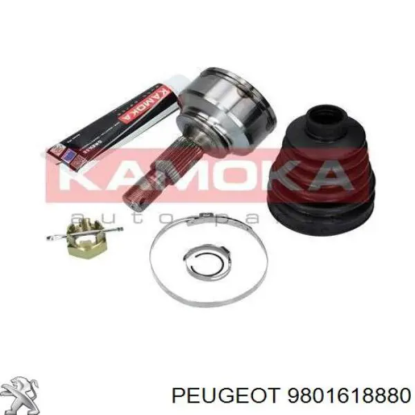 9801618880 Peugeot/Citroen árbol de transmisión delantero derecho
