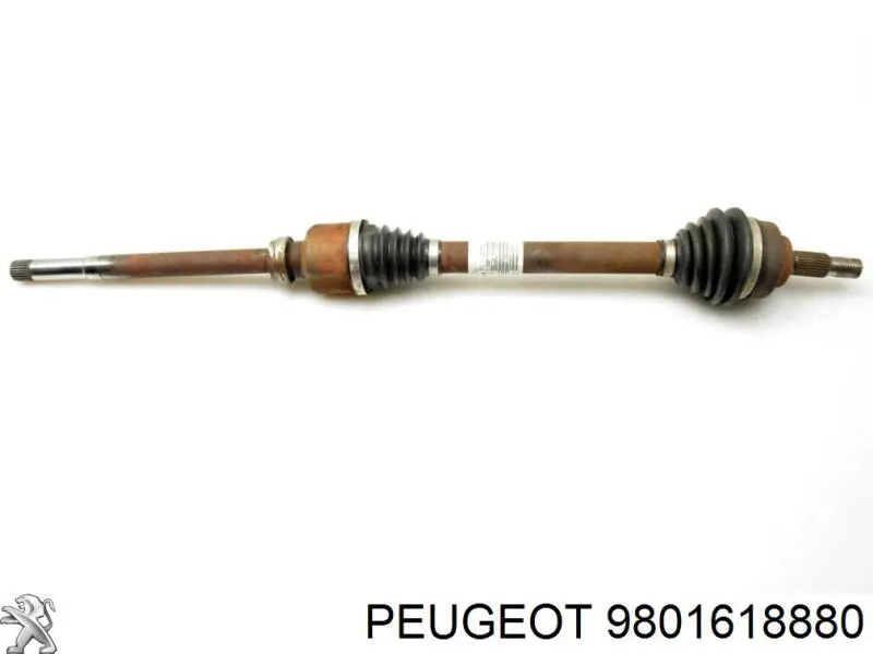 Semieje delantero derecho Peugeot/Citroen 3273VY precio, desde 119,06 EUR