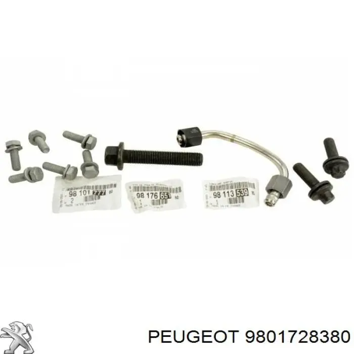 9801728380 Peugeot/Citroen Junta de la bomba de vacío