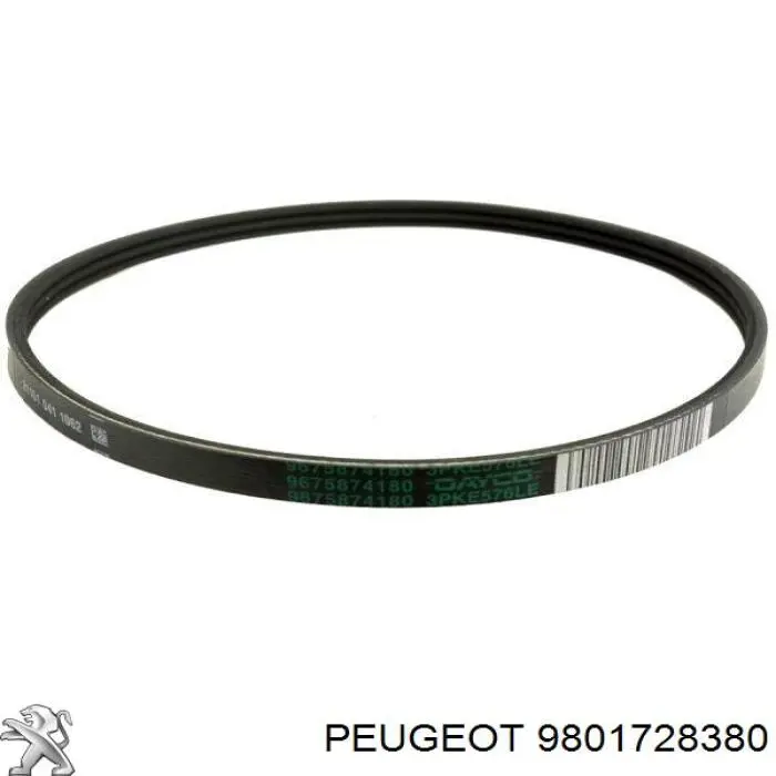 Junta de la bomba de vacío 9801728380 Peugeot/Citroen