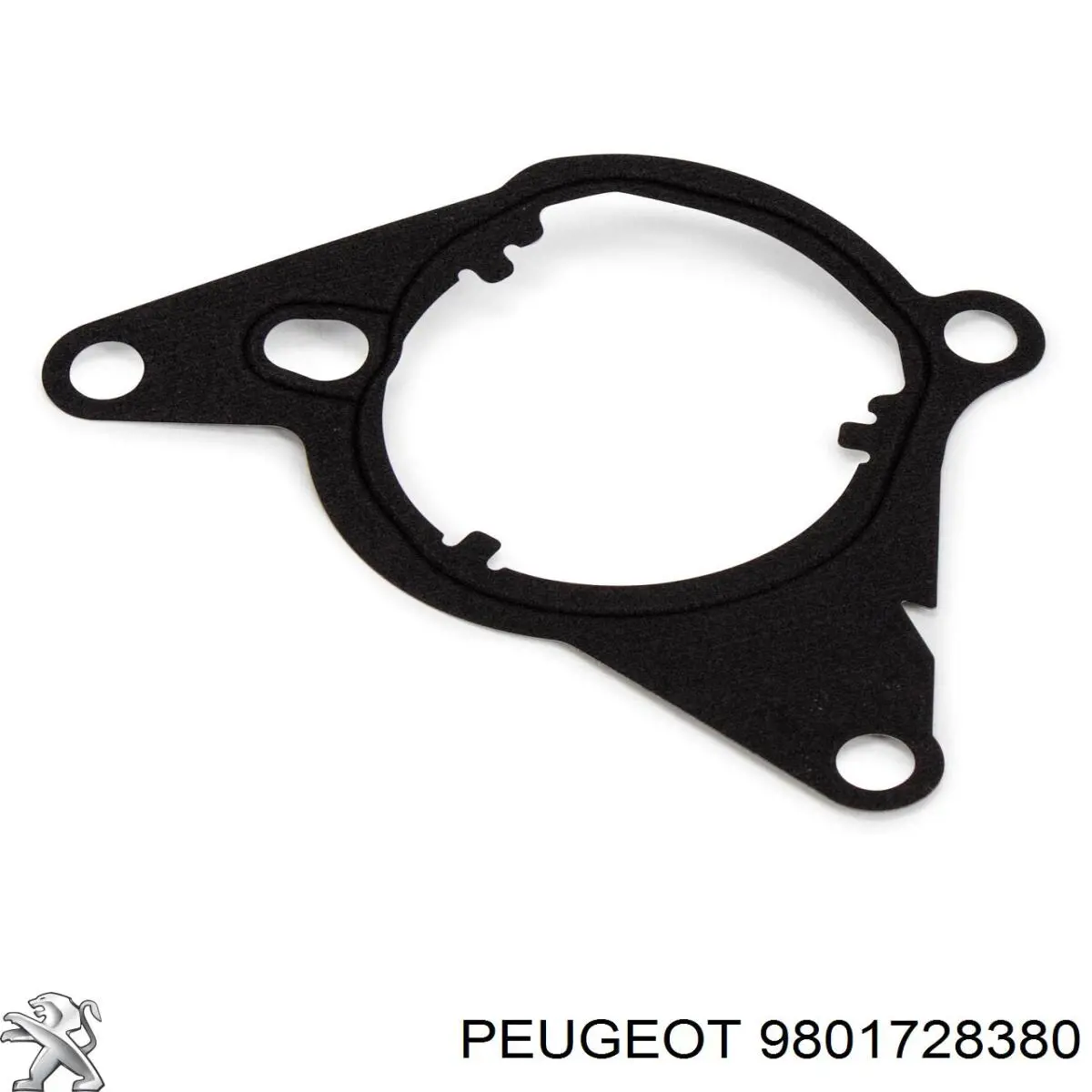Junta de la bomba de vacío Peugeot/Citroen 9801728380 precio, desde 5,37 EUR