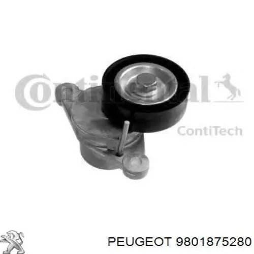 Tensor de correa poli V 9801875280 Peugeot/Citroen