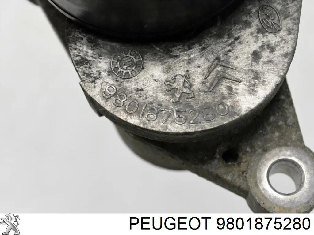 Comprar 9801875280 Peugeot/Citroen Tensor de correa poli V 