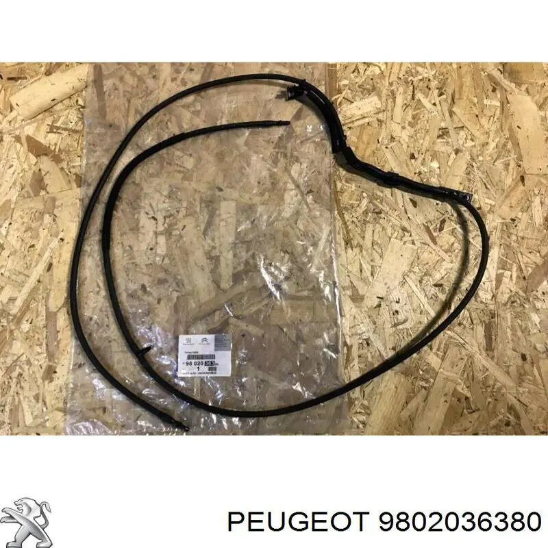  Peugeot/Citroen 9802036380 precio, desde 37,72 EUR