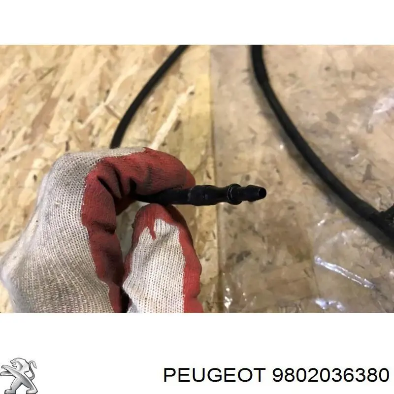 Comprar 9802036380 Peugeot/Citroen 