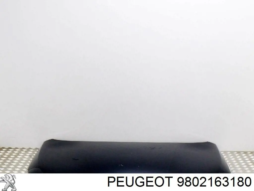 Comprar 9802163180 Peugeot/Citroen Capó