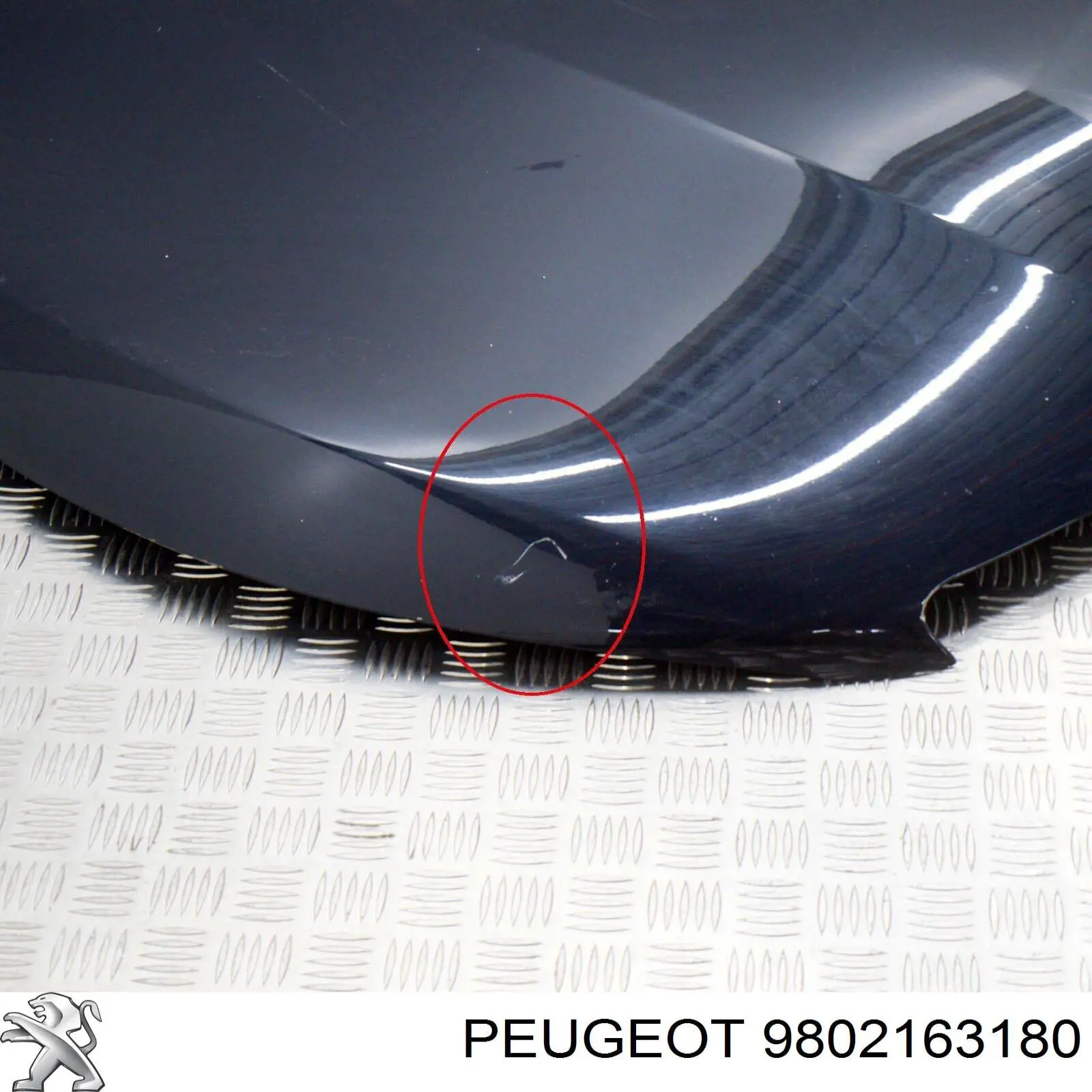 Capó 9802163180 Peugeot/Citroen