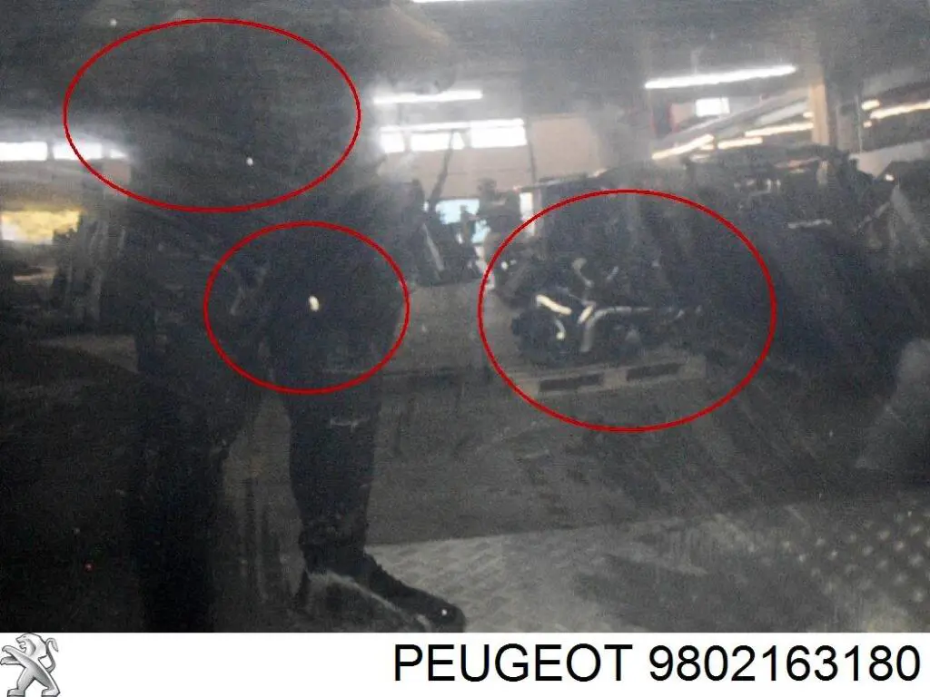 Capot Peugeot/Citroen 9802163180