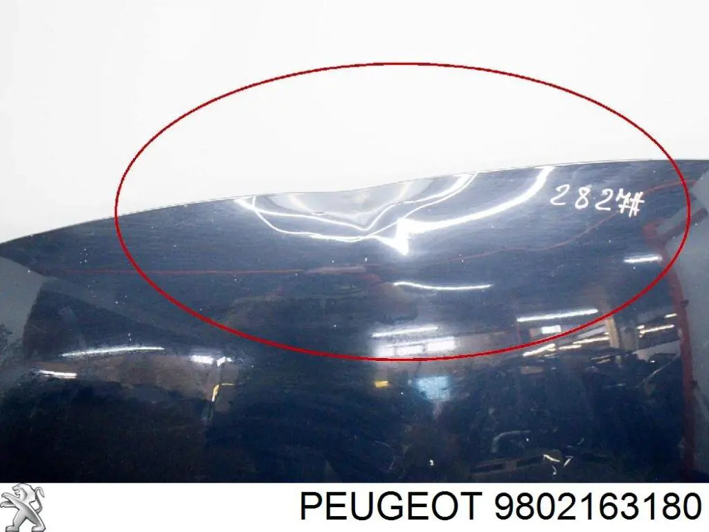 9802163180 Peugeot/Citroen Capó delantero