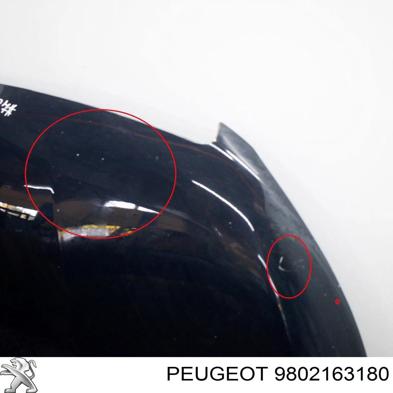 Capó del motor Peugeot/Citroen 9802163180 precio, desde 381,10 EUR