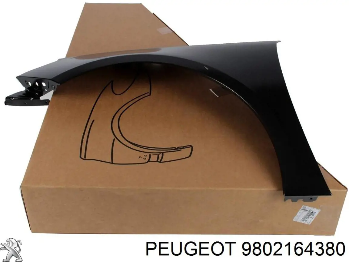 9802164380 Peugeot/Citroen Aleta delantera izquierda