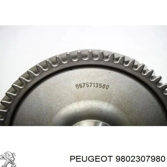 Comprar 9802307980 Peugeot/Citroen 