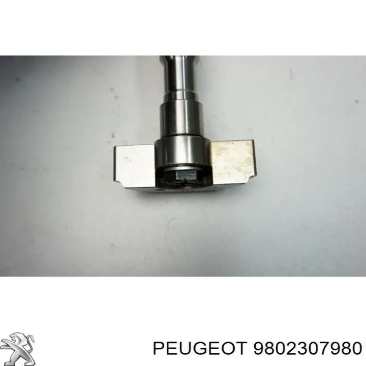  Peugeot/Citroen 9802307980 precio, desde 146,55 EUR