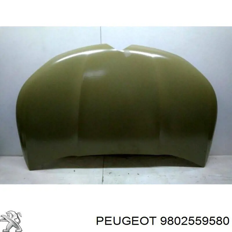Capó delantero para Citroen C4 RUSSIA B73