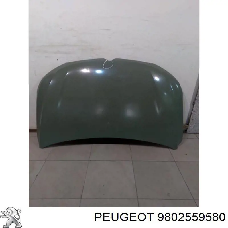 Capó del motor Citroen C4 RUSSIA sedán (B73) (2013 - 2026) precio, desde 711,68 EUR