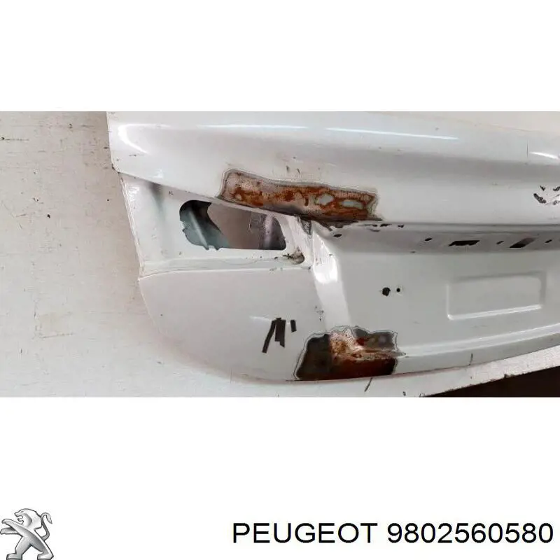 Tapa de maletero para Citroen C4 RUSSIA B73