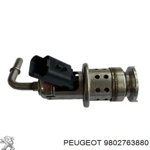 Inyector AdBlue Peugeot/Citroen 9802763880 precio, desde 55,18 EUR