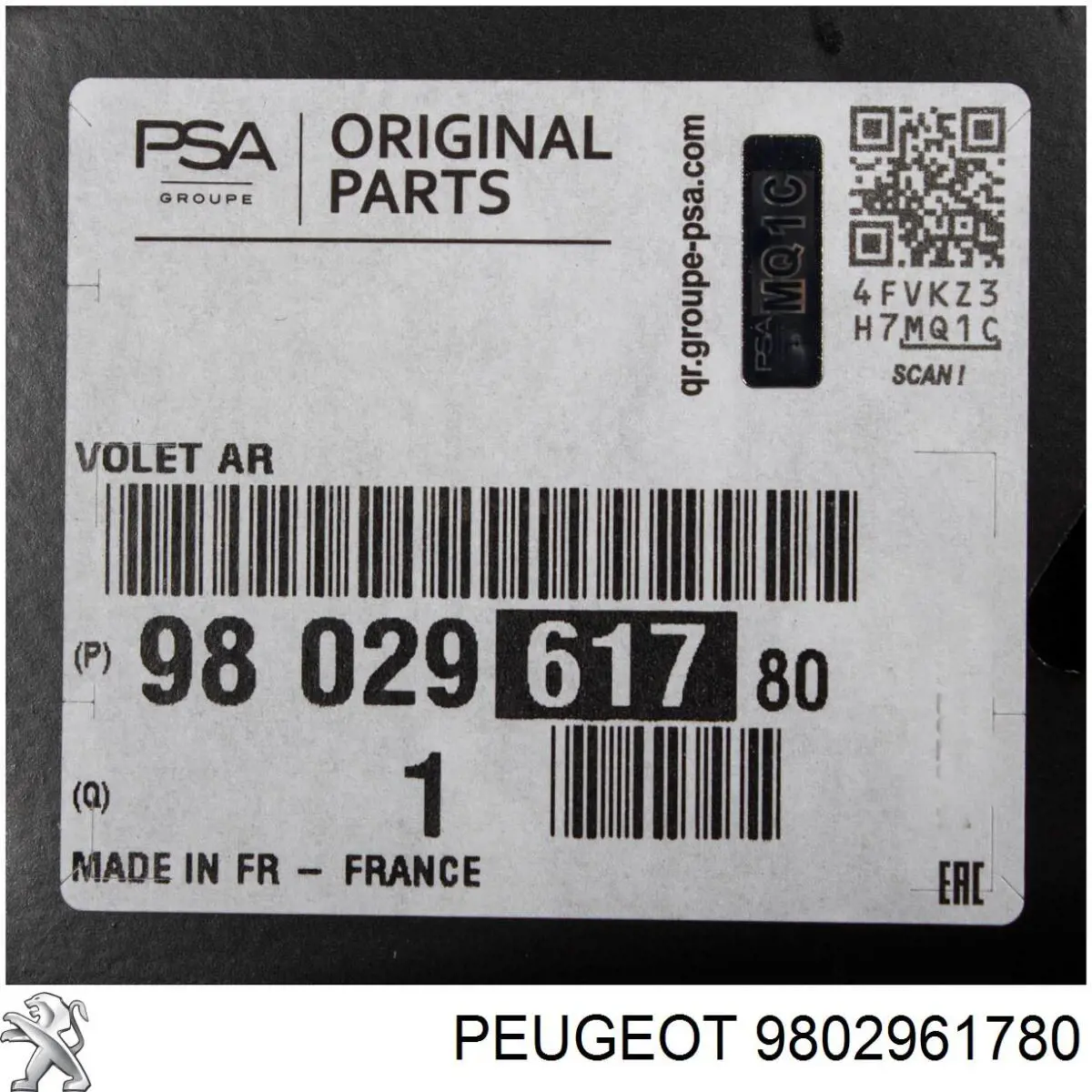 9802961780 Peugeot/Citroen