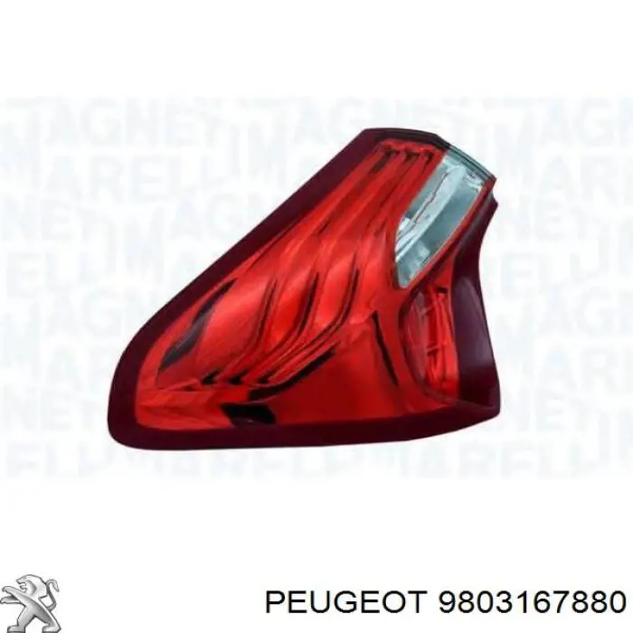 9803167880 Peugeot/Citroen