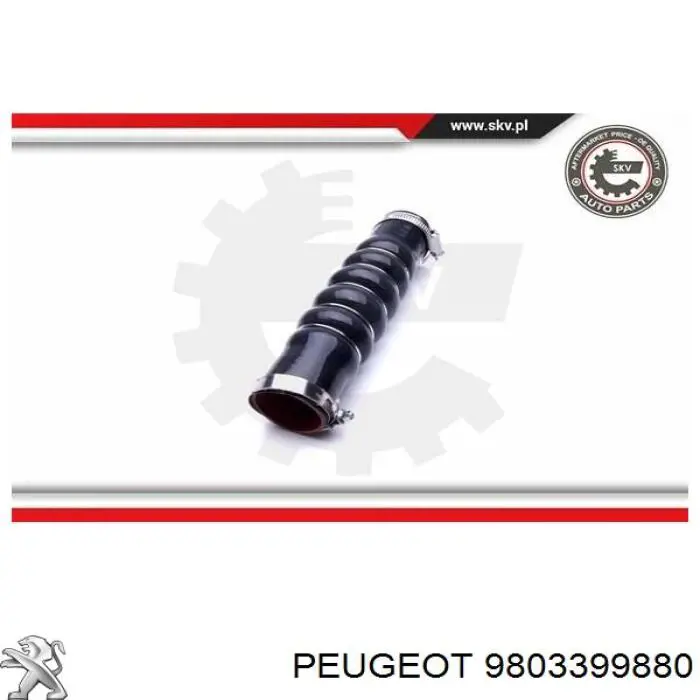 Comprar 9803399880 Peugeot/Citroen Tubo intercooler