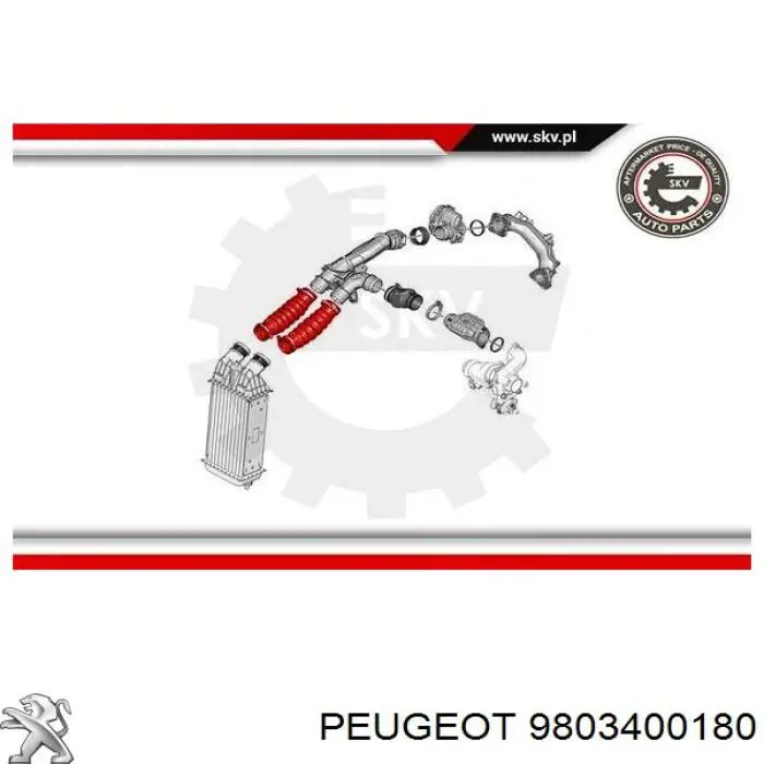 DCC074TT Thermotec Manguera del intercooler