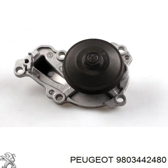 9803442480 Peugeot/Citroen bomba de agua