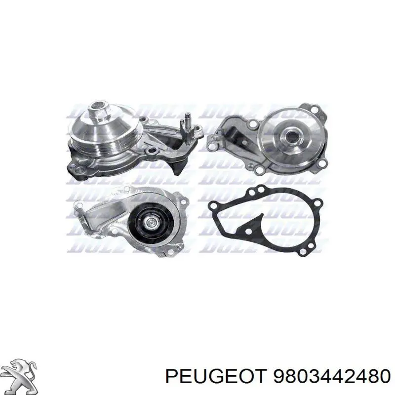 Comprar 9803442480 Peugeot/Citroen Bomba de agua para motor