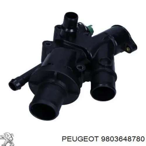 Termostato 9803648780 Peugeot/Citroen