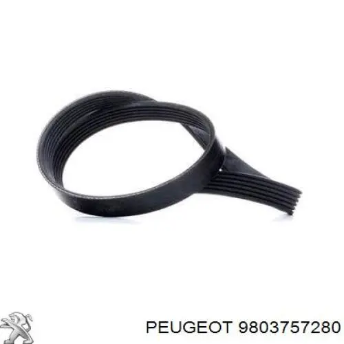 Comprar 9803757280 Peugeot/Citroen Correa trapezoidal