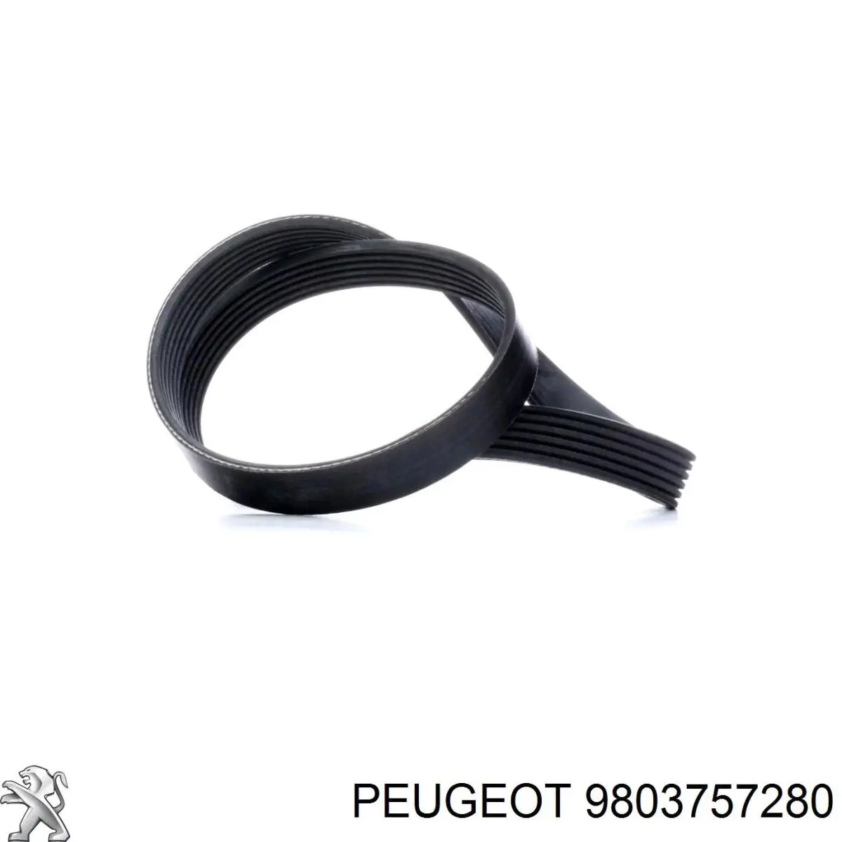 9803757280 Peugeot/Citroen Correa poly v