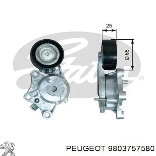 Comprar 9803757580 Peugeot/Citroen Tensor de correa poli V 