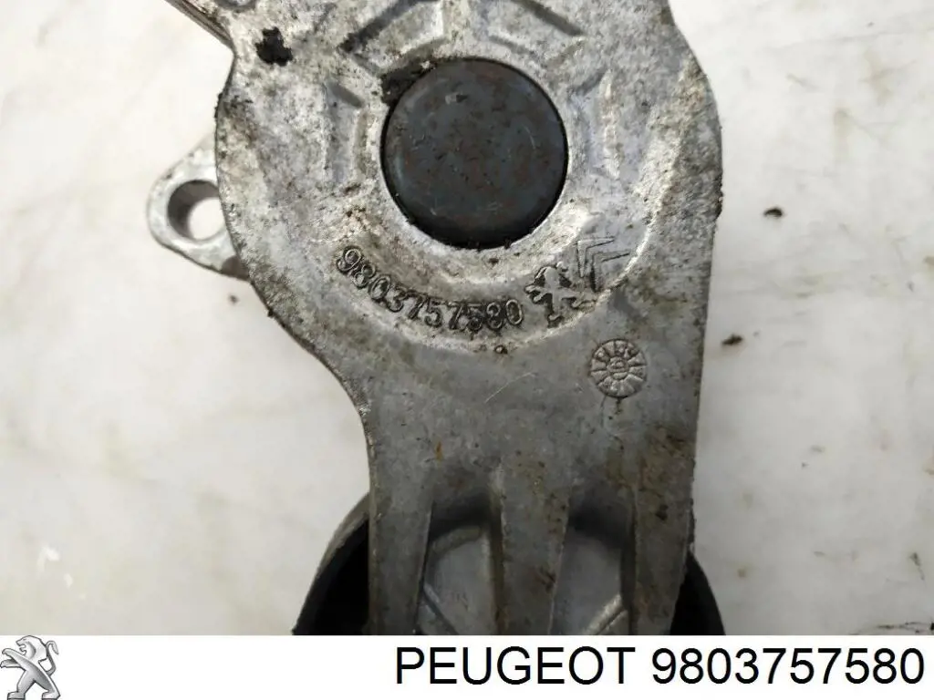 9803757580 Peugeot/Citroen tensor de correa, correa poli v