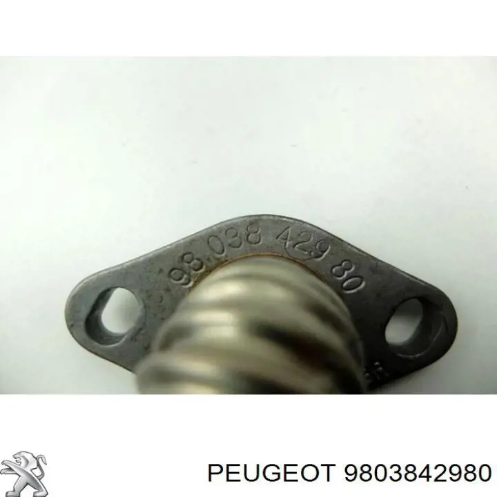 9803842980 Peugeot/Citroen