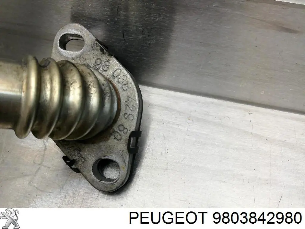Tubo del sistema de recirculación de gases de escape EGR Peugeot/Citroen 9803842980 precio, desde 40,66 EUR