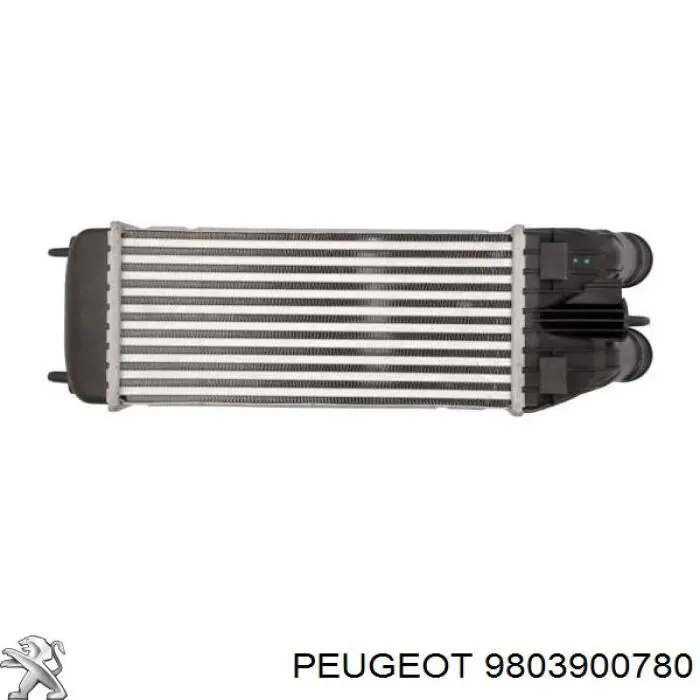 Comprar 9803900780 Peugeot/Citroen Turbo intercooler