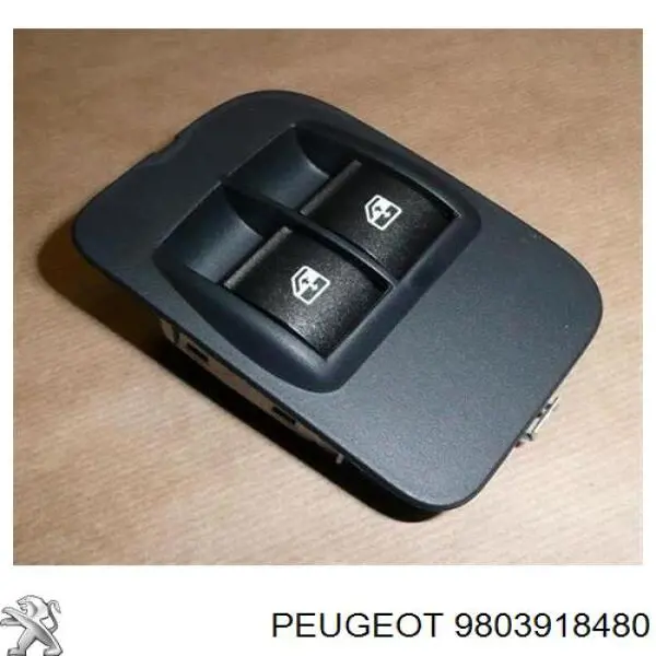 Comprar 9803918480 Peugeot/Citroen 
