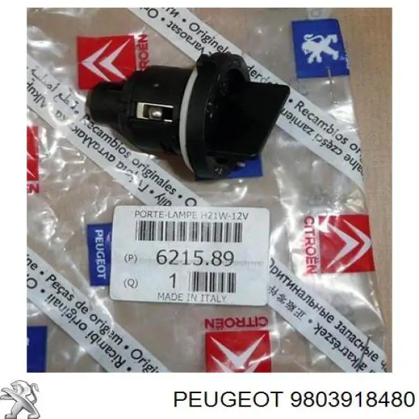 9803918480 Peugeot/Citroen 