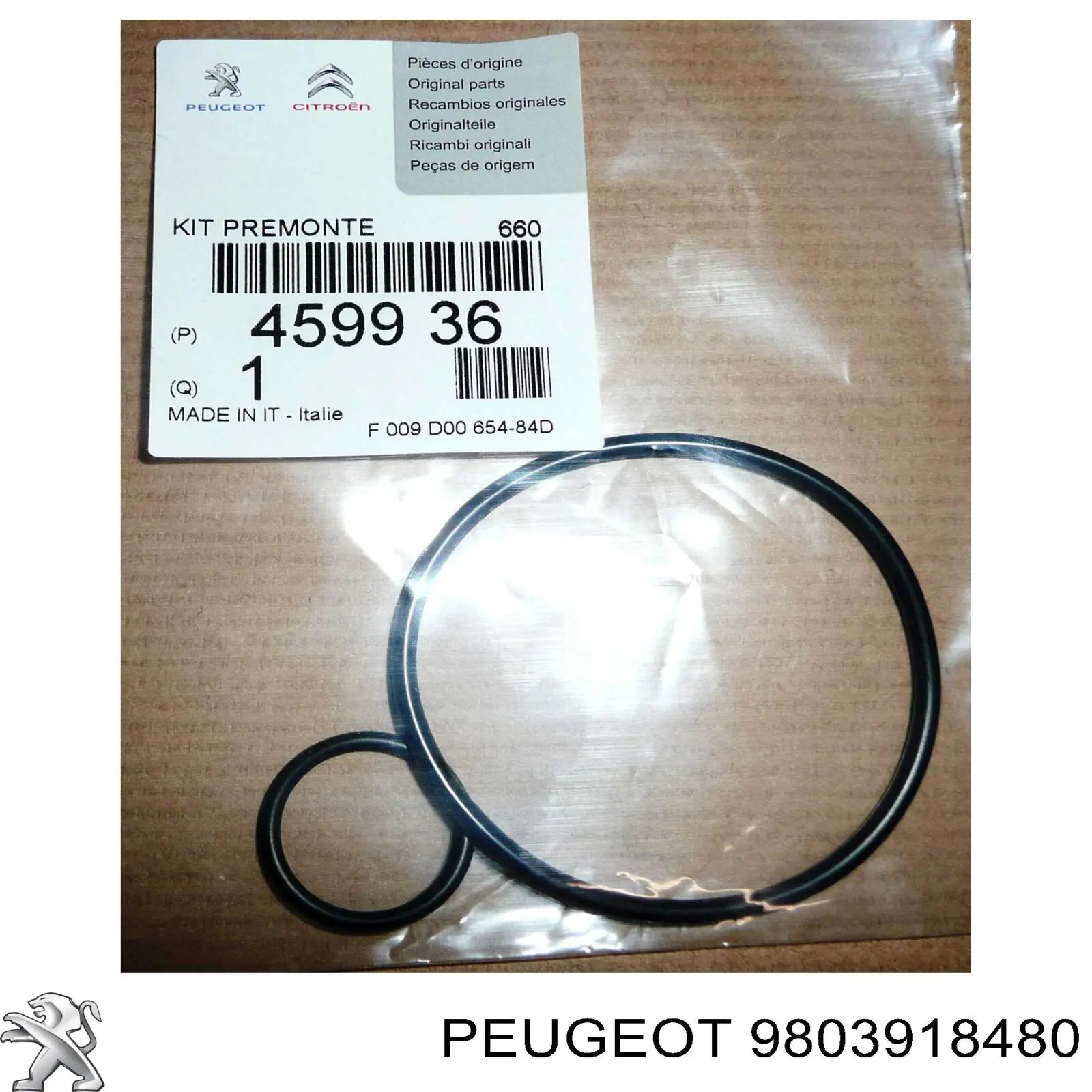  9803918480 Peugeot/Citroen