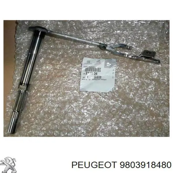 9803918480 Peugeot/Citroen 