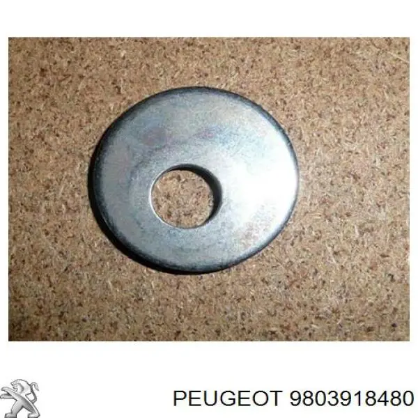  Peugeot/Citroen 9803918480 precio, desde 4,92 EUR