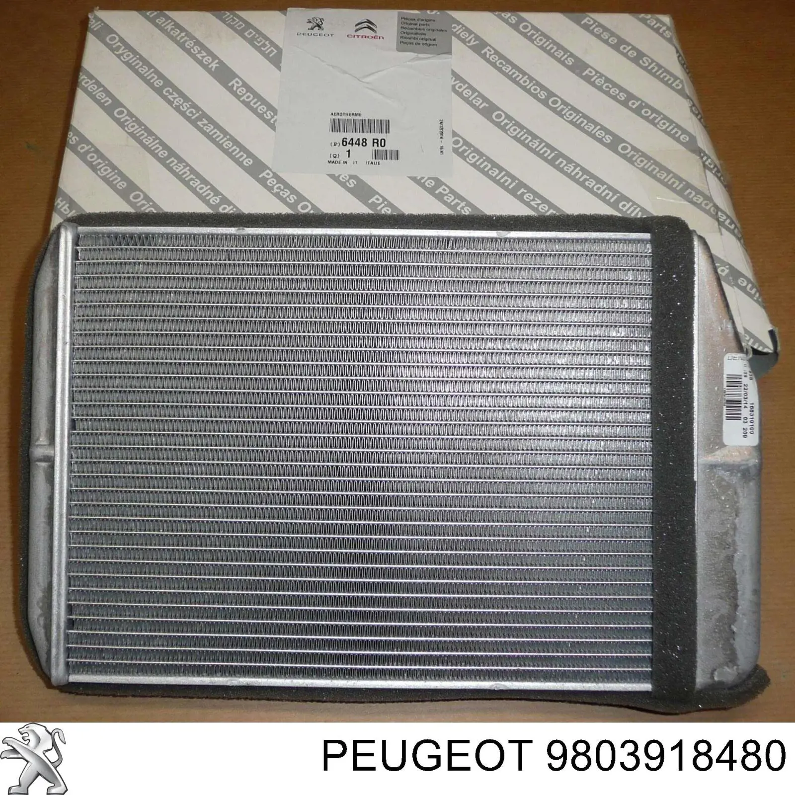  Peugeot/Citroen 9803918480
