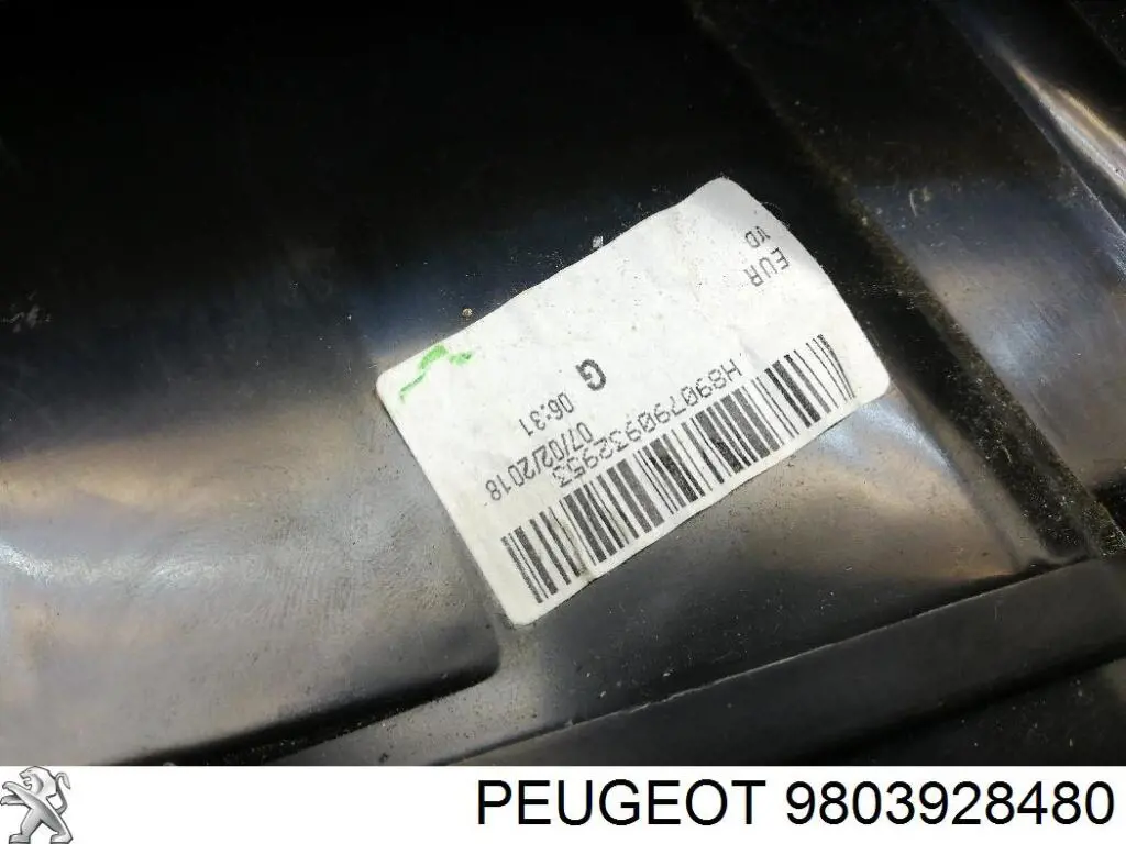 9803928480 Peugeot/Citroen piloto posterior exterior derecho