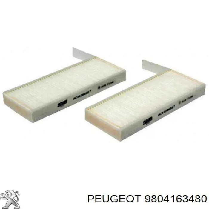 9804163480 Peugeot/Citroen Filtro antipolen